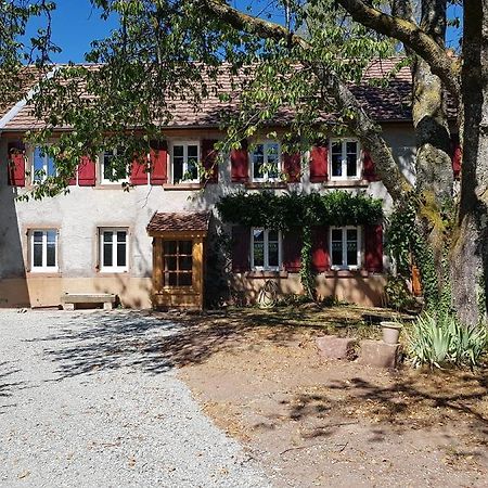 Le Jardin Des Gouttes Bed & Breakfast Rougegoutte Eksteriør bilde