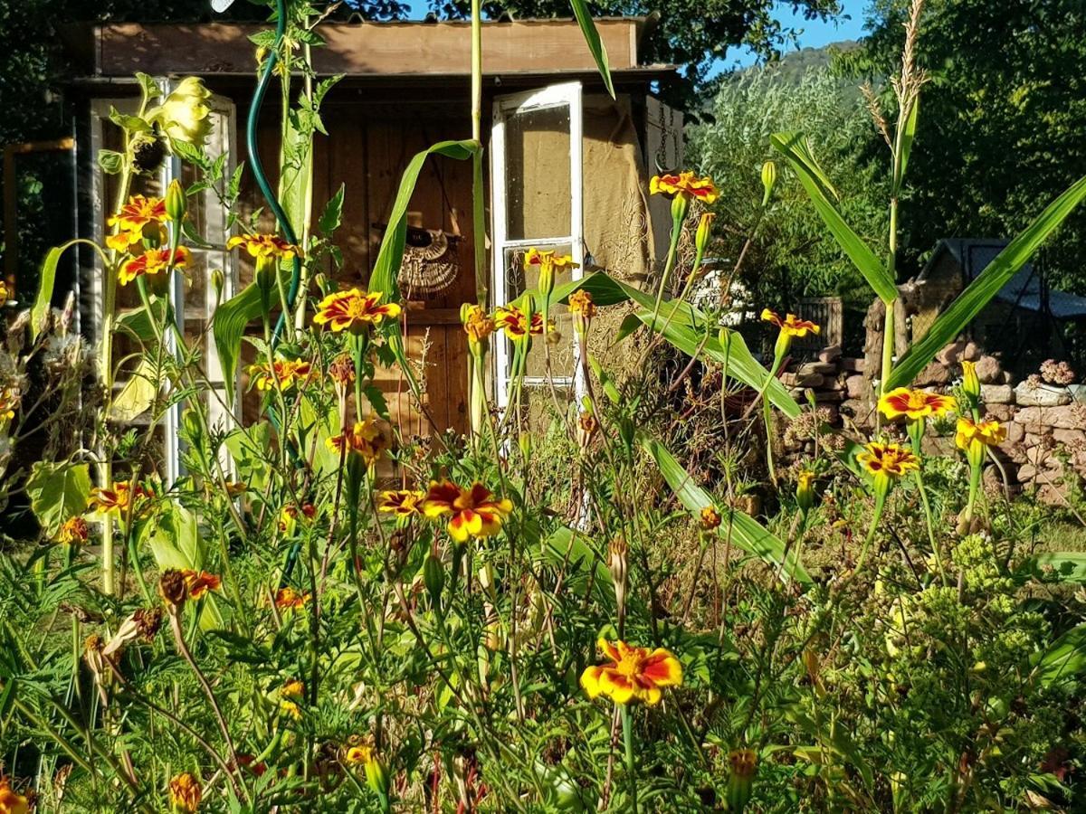 Le Jardin Des Gouttes Bed & Breakfast Rougegoutte Eksteriør bilde