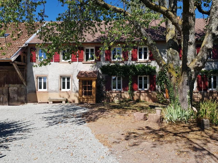Le Jardin Des Gouttes Bed & Breakfast Rougegoutte Eksteriør bilde